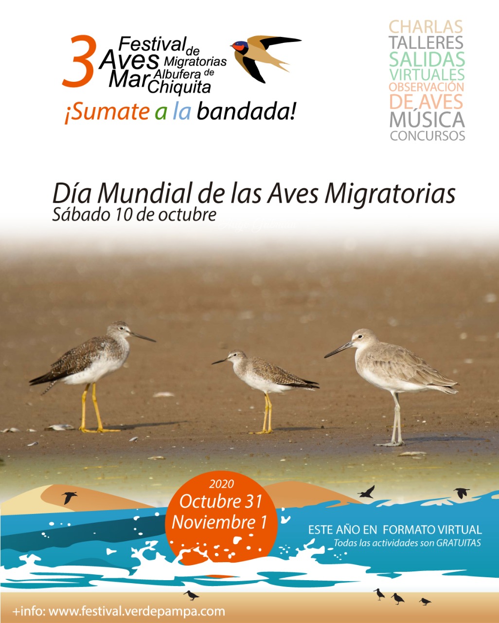 Afiche Aves migratorias festejo