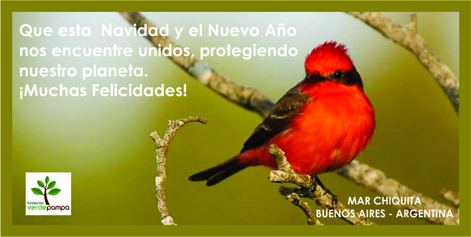 Navidad 2020
