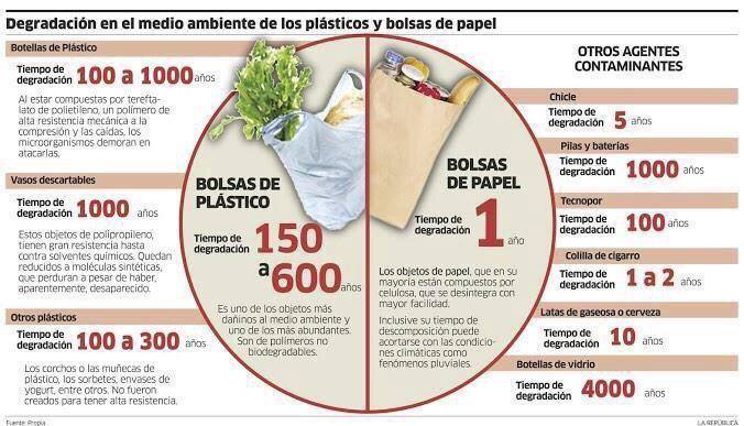 nota Alejandra Pastor 3